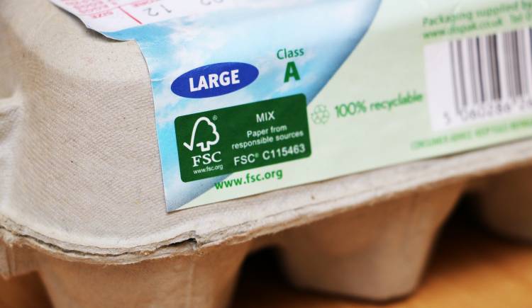 Vermaken Succesvol Perth Blackborough FSC Paper Packaging - chun-hing